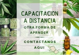 capacitacion