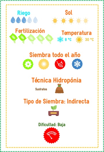 venta semillas pak-choi