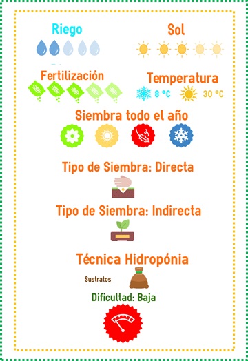 comprar semillas zanahorias colores